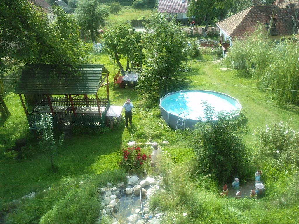 Surasul Muntelui Apartman Dragoslavele Kültér fotó